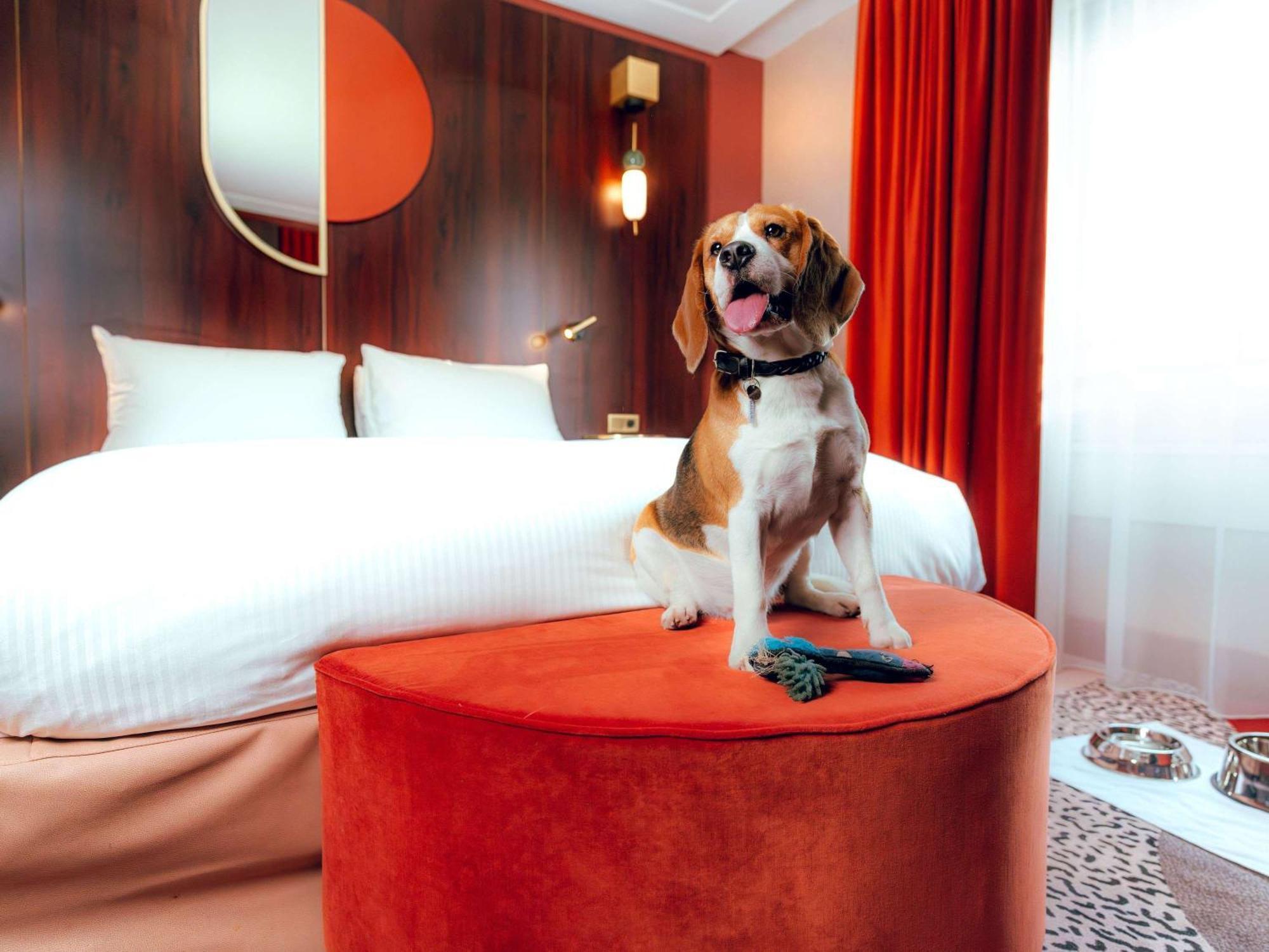 Nest Paris La Defense - Mgallery Puteaux Ngoại thất bức ảnh A dog in a hotel room